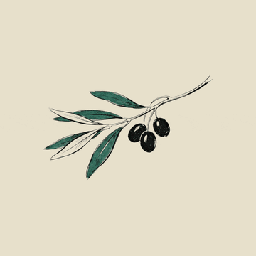 An illustrated olive branch, the Verde emblem